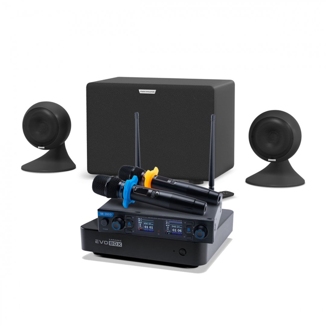 караоке-комплект EVOBOX + EvoSound Sphere 2.1 в Новосибирске