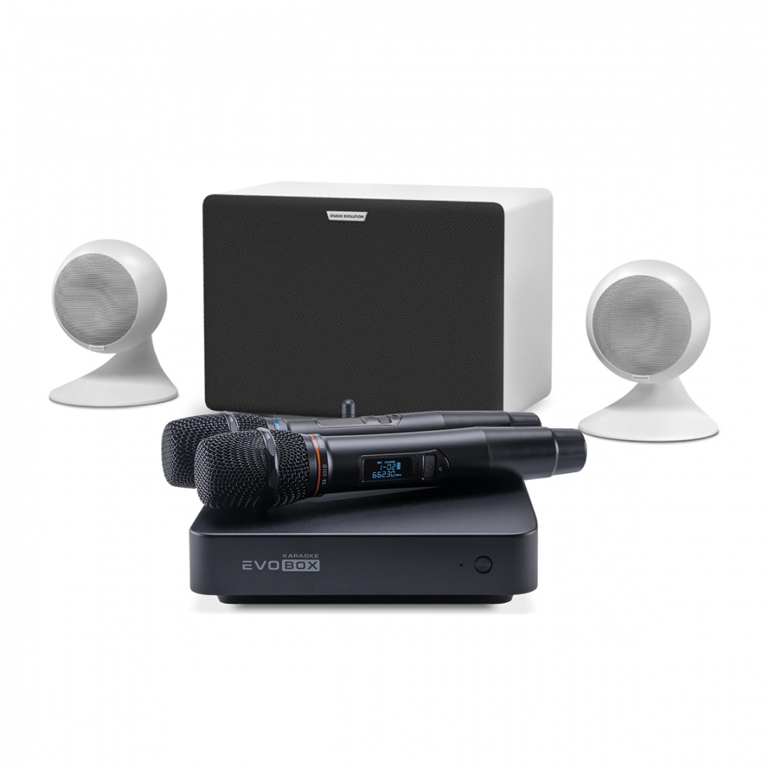 караоке-комплект EVOBOX Classic + EvoSound Sphere 2.1 в Новосибирске