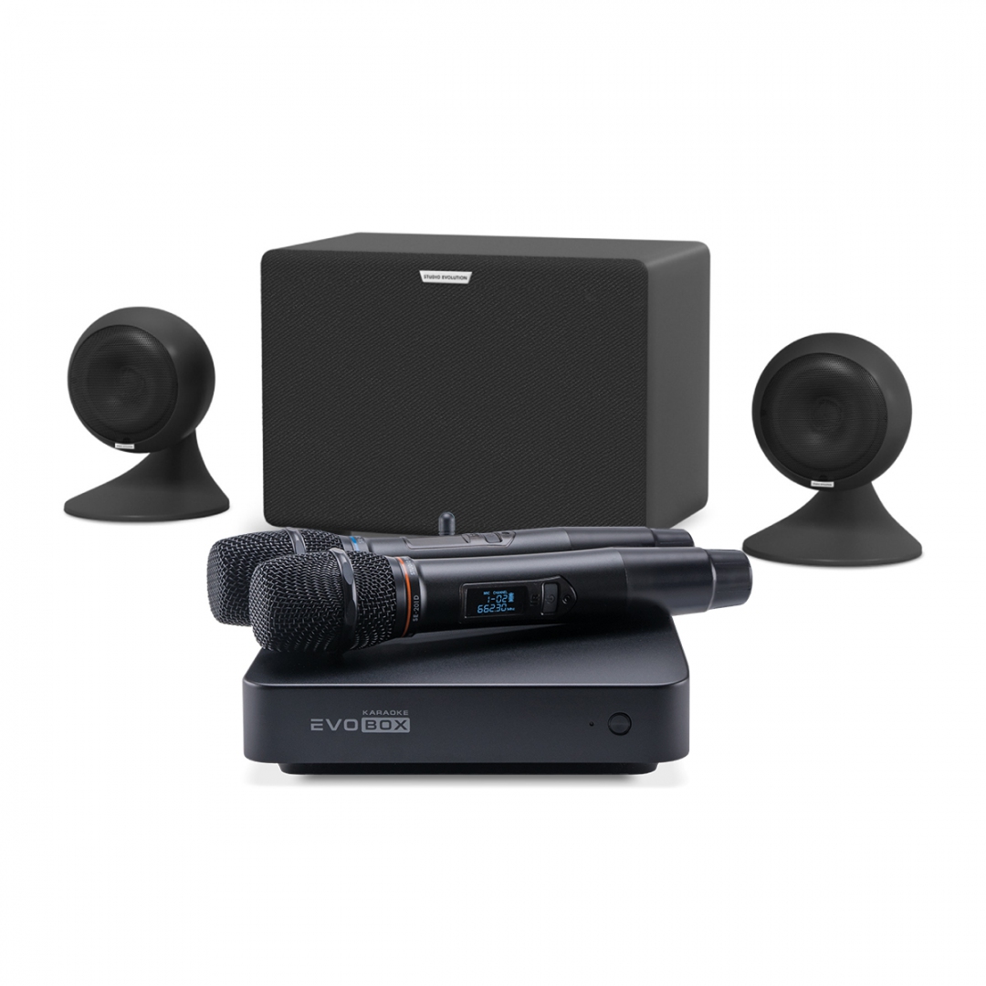 караоке-комплект EVOBOX Plus + EvoSound Sphere 2.1 в Новосибирске