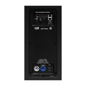 Активная акустическая система AST-310A в Новосибирске